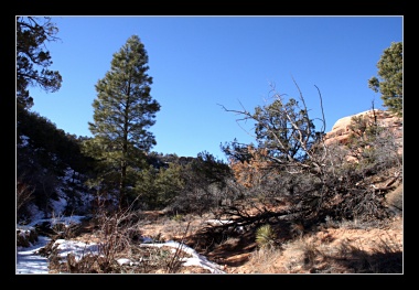 [Click to enlarge image]